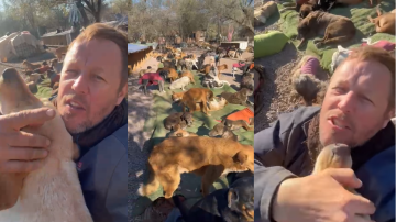 El tierno y perruno saludo de El Polaco y sus canichones a Info del Estero por nuestro aniversario