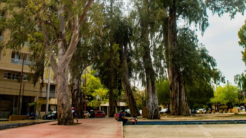 Domingo fresco por la mañana, pero agradable por la tarde: la máxima llegará a 22°