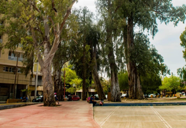 Domingo fresco por la mañana, pero agradable por la tarde: la máxima llegará a 22°