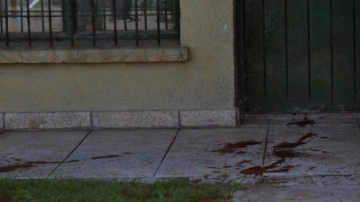 Conmoción: hallaron muertos a dos hermanos en su vivienda