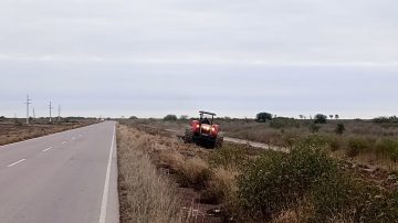 Trabajan en la limpieza en más de 20 kilómetros de banquina sobre la ruta provincial N°206