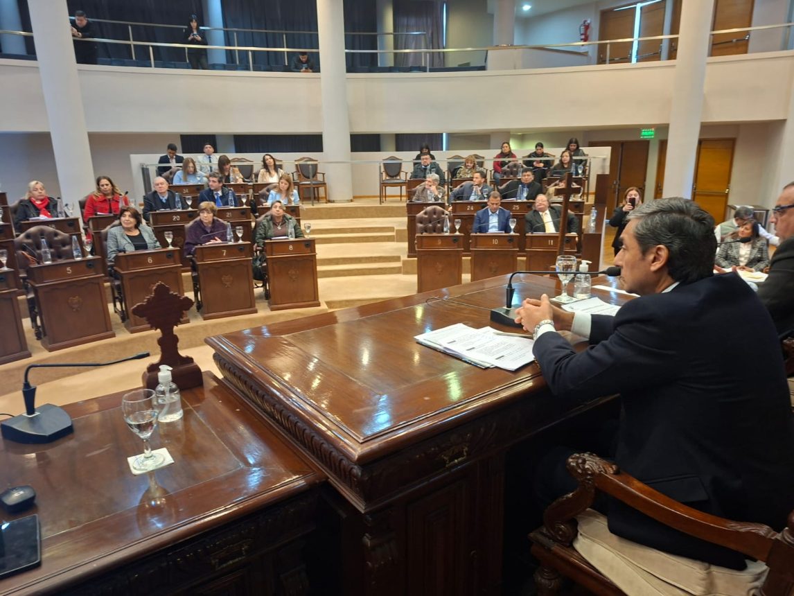 Silvia Borlone asumió como diputada en reemplazo del fallecido legislador Juan Sequeira