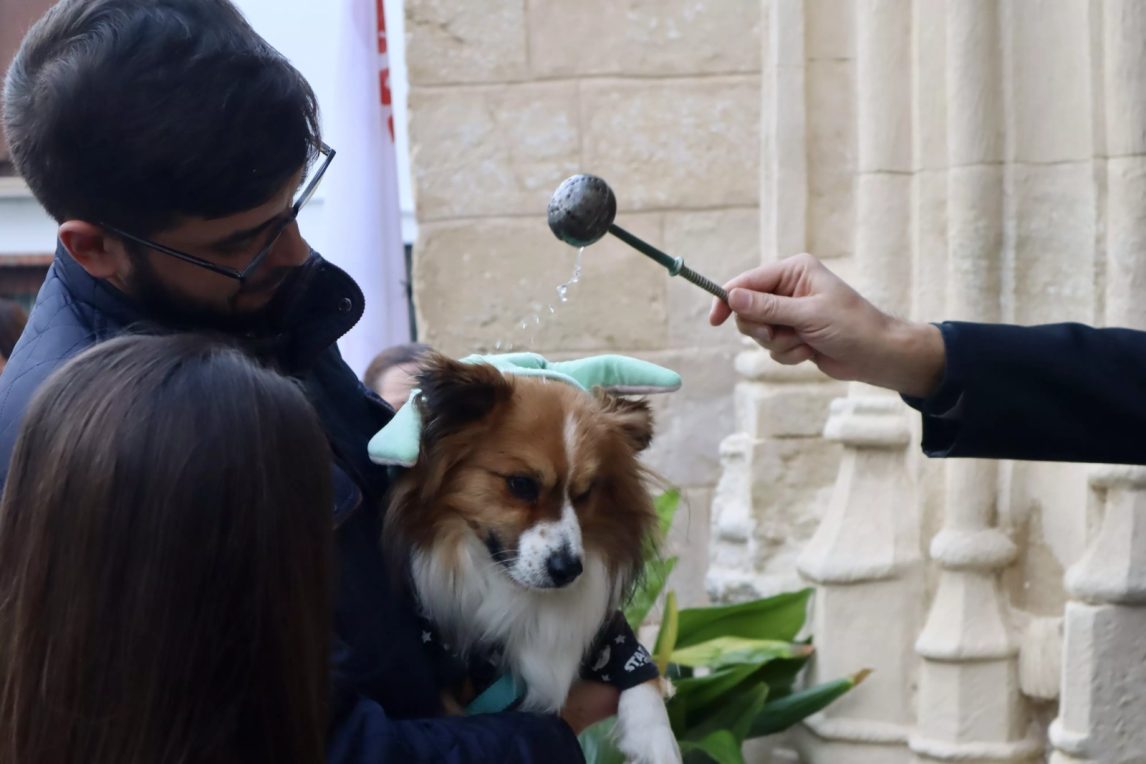 La tradicional bendición de mascotas será este sábado