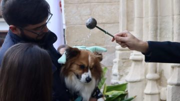 La tradicional bendición de mascotas será este sábado