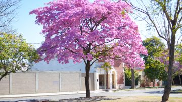 Lunes cálido con máxima de 27 grados en Santiago del Estero