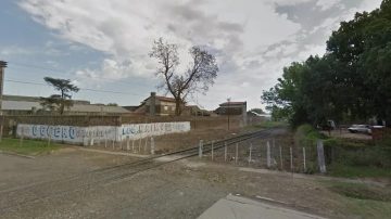 Quiso salvar a su perro y murió tras ser atropellada por el tren