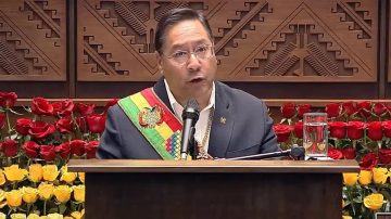 El presidente de Bolivia dijo que “Milei cometió una injerencia” al referirse a la economía del vecino país