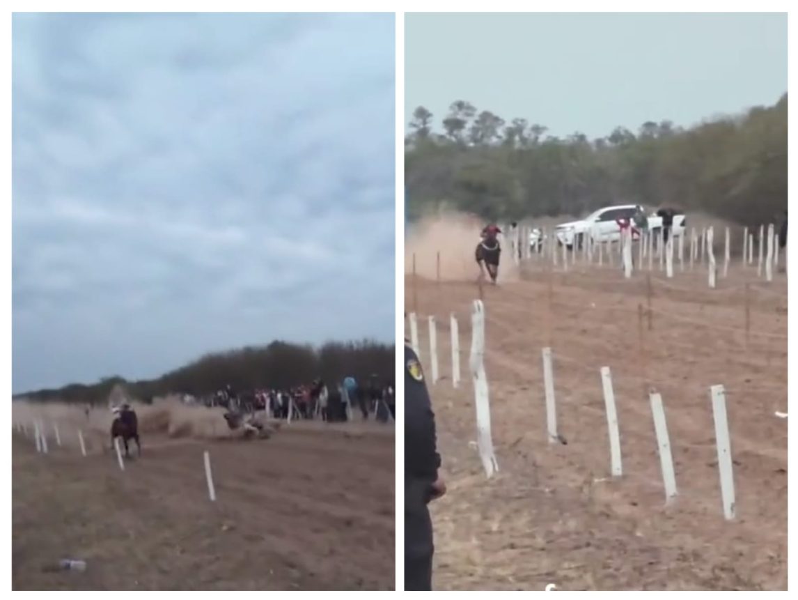 Imágenes sensibles: tremendo accidente de un caballo y su jockey en plena carrera cuadrera