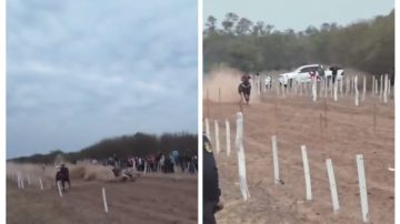 Imágenes sensibles: tremendo accidente de un caballo y su jockey en plena carrera cuadrera