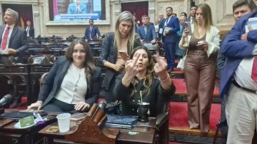 “Coherencia”: El bloque que conformaron tres diputados oficialistas tras abandonar LLA