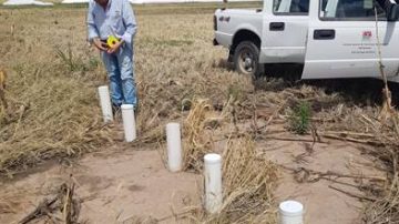Clima neutral y riesgo de tormentas severas: el inicio de la campaña agrícola 25/26 en Santiago del Estero