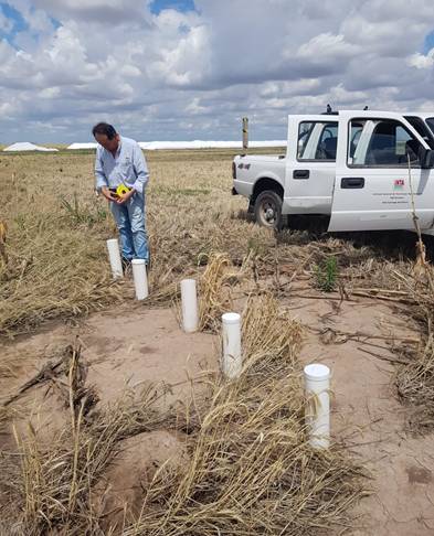 Clima neutral y riesgo de tormentas severas: el inicio de la campaña agrícola 25/26 en Santiago del Estero