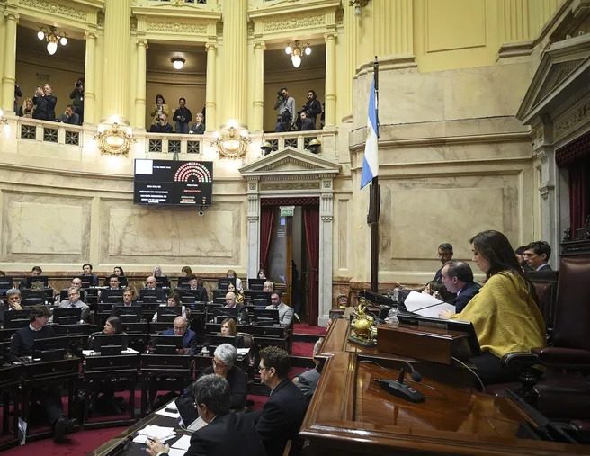 Otra mala para el Gobierno: El Senado aprobó la ley de financiamiento universitario
