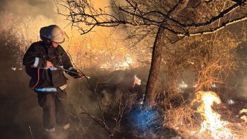 Impactante: Bomberos de la Policía compartieron su arduo trabajo para frenar incendios forestales