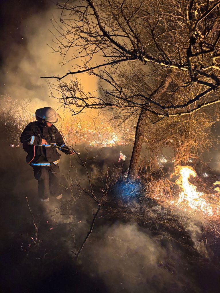 Impactante: Bomberos de la Policía compartieron su arduo trabajo para frenar incendios forestales