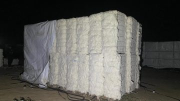 Robo en una desmotadora de algodón en Añatuya