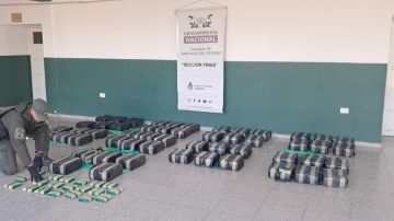 Trasladaban 270 kilos de hojas de coca en un acoplado