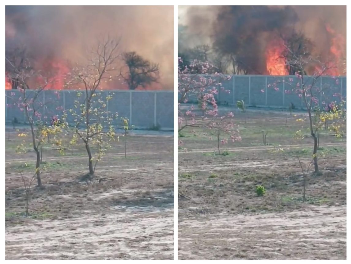 Alerta por un incendio en el Vivero San Carlos: El fuego se acerca a un terreno con equinos