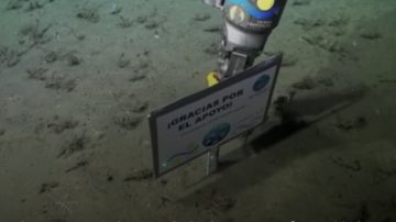 VIDEO: Así se despidieron en la transmisión del Conicet desde el fondo del mar