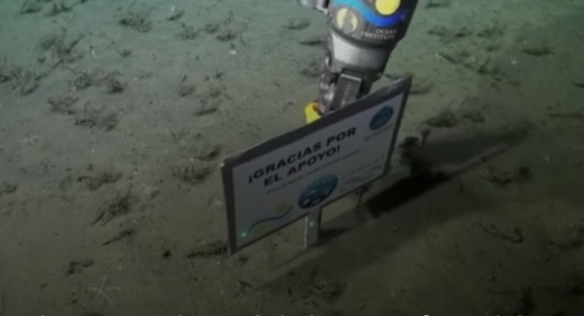 VIDEO: Así se despidieron en la transmisión del Conicet desde el fondo del mar