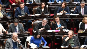 En una megasesión, Diputados rechazó el veto de Milei a la ley de Emergencia en Discapacidad