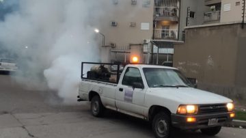 El cronograma semanal de las fumigaciones preventivas contra mosquitos en Capital