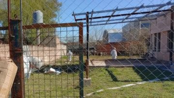 Hallan a una mujer asesinada y enterrada en el patio de su casa: sospechan de su hija de 15 años