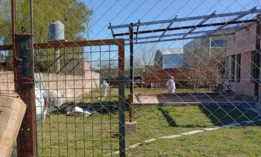 Hallan a una mujer asesinada y enterrada en el patio de su casa: sospechan de su hija de 15 años