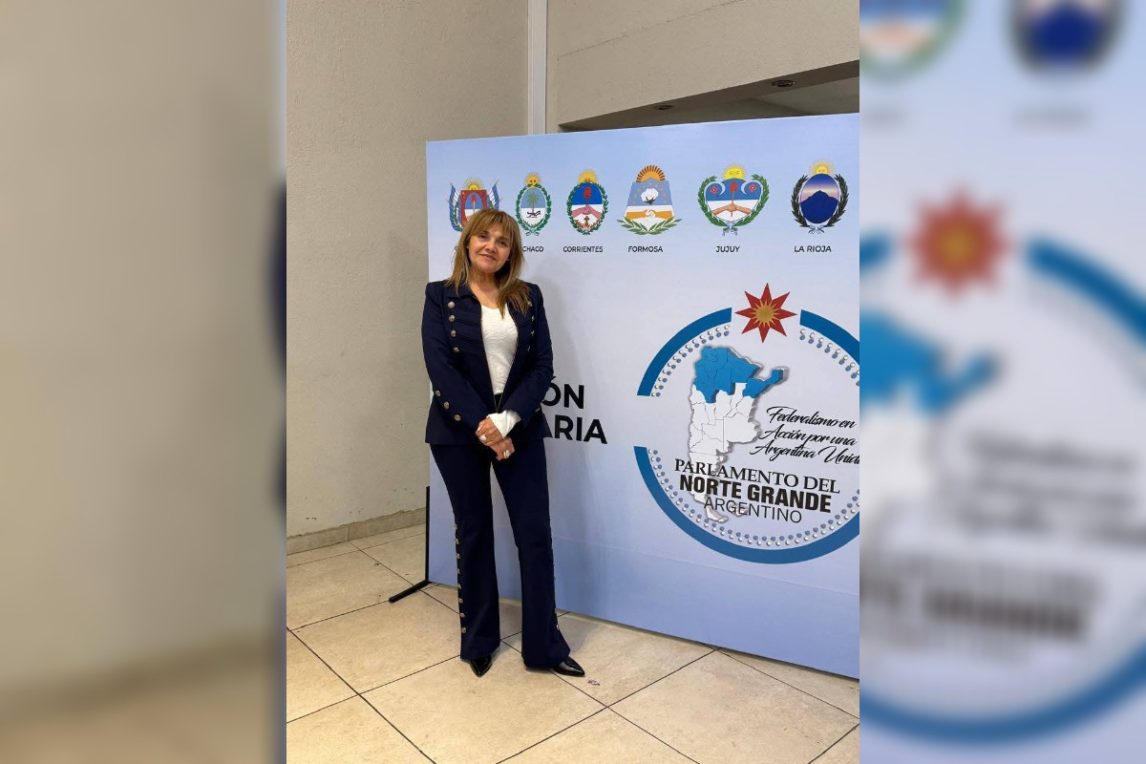 Lista completa de candidatos del Frente Renovador, con Larcher como candidata a gobernadora