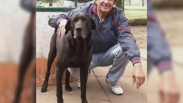 Duro cruce en Info del Estero entre la hija de Johnny Mendizabal y Héctor Kairuz