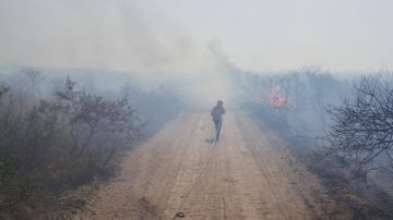 Bomberos de Termas reportaron 22 incendios en menos de una semana: “Todos causados por negligencia o mala intención”