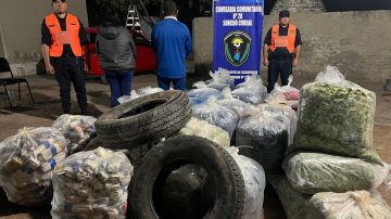 Suncho Corral: Secuestraron más de 700 kilos de hojas de coca