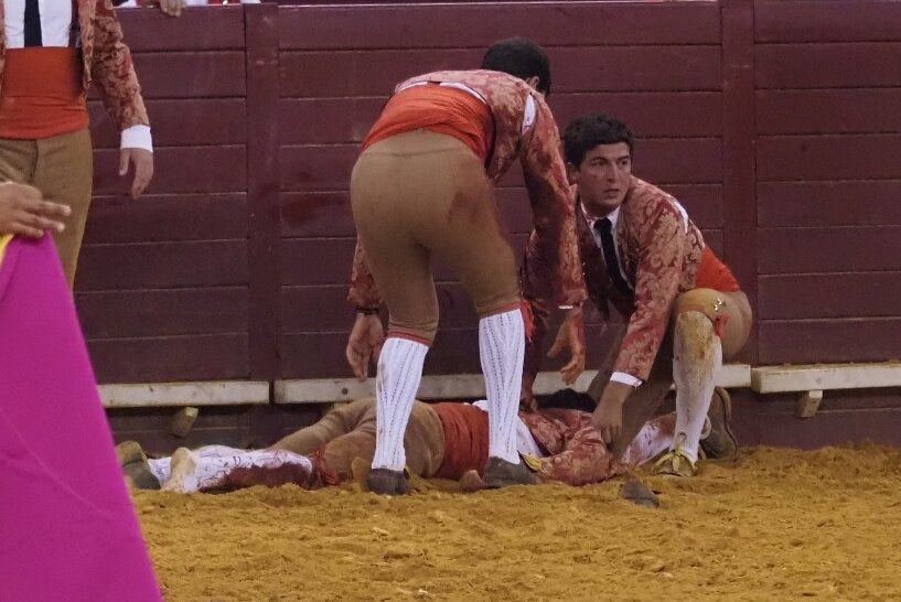 Video sensible: joven torero murió tras ser embestido por un toro de 700 kilos en Portugal