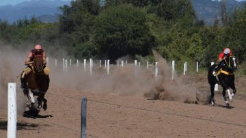 Vilelas: una mujer murió atropellada por un caballo durante unas carreras cuadreras