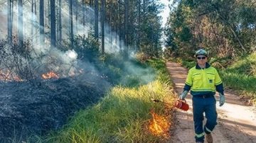 Inscriben para un webinar internacional sobre drones y manejo del fuego en la Facultad de Ciencias Forestales