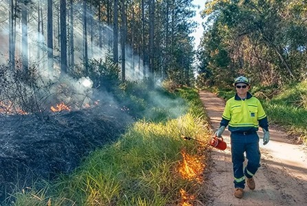 Inscriben para un webinar internacional sobre drones y manejo del fuego en la Facultad de Ciencias Forestales