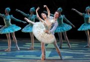 Mañana llega al Teatro 25 de Mayo el prestigioso Ballet de San Petersburgo con “El Lago de los Cisnes”