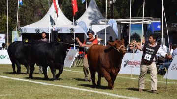 Comenzó la ExpoBRA 2025 en el Vivero San Carlos