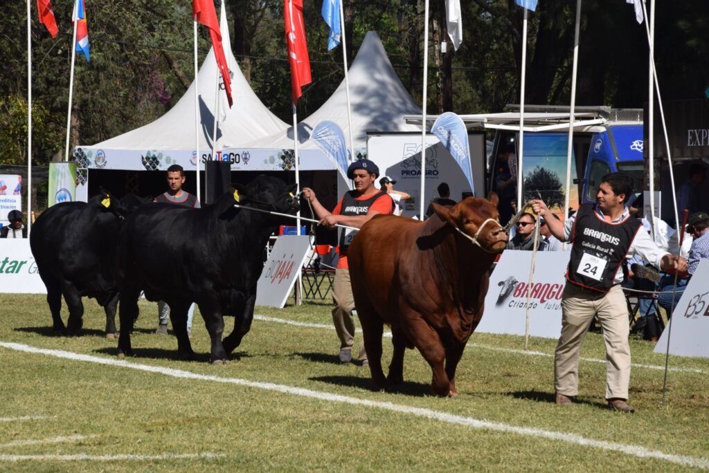 Comenzó la ExpoBRA 2025 en el Vivero San Carlos