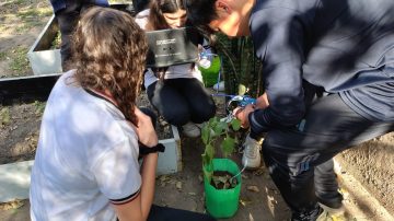 Estudiantes del Colegio La Asunción diseñaron un sistema de medición automatizada de humedad del suelo