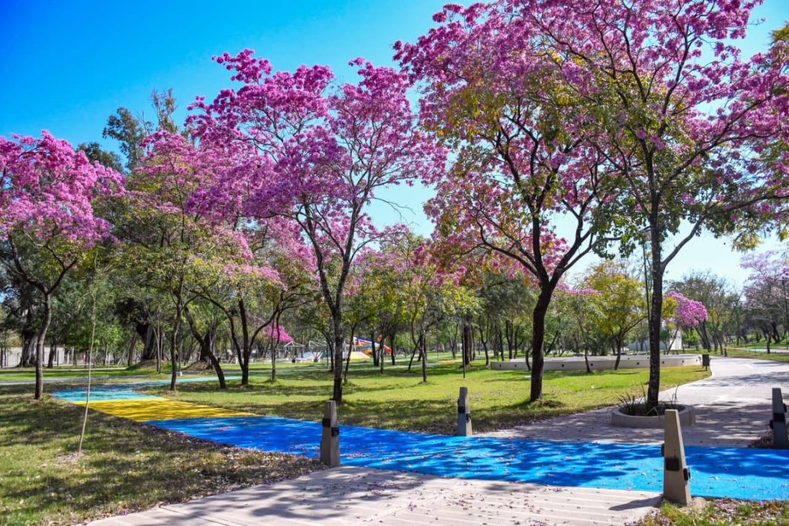 FOTOS | Así es el increíble Parque Mama Antula que se inaugura esta tarde