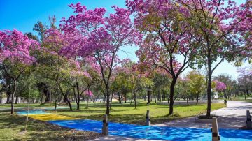 FOTOS | Así es el increíble Parque Mama Antula que se inaugura esta tarde