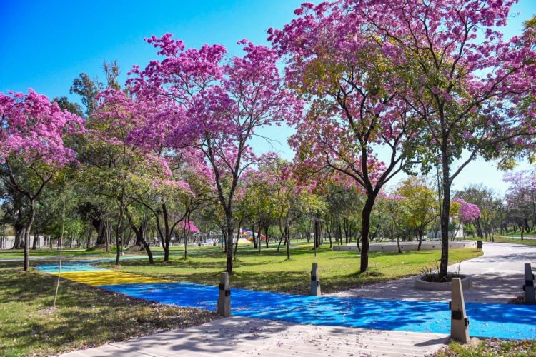 FOTOS | Así es el increíble Parque Mama Antula que se inaugura esta tarde