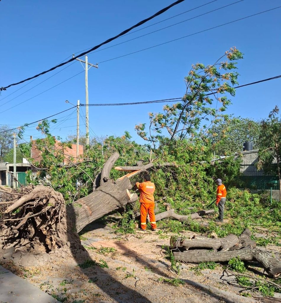 El viento azotó Santiago del Estero: calles cubiertas de ramas y árboles caídos