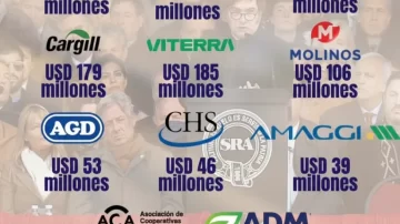 La casta del campo: las retenciones cero fueron solo para 12 grandes exportadores