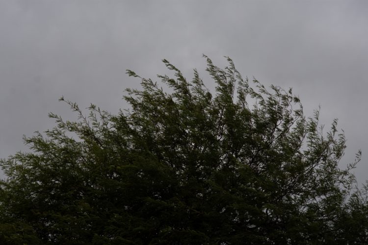 “Finde” con tormentas aisladas: Probabilidad de lluvias y ráfagas de hasta 59 km/h