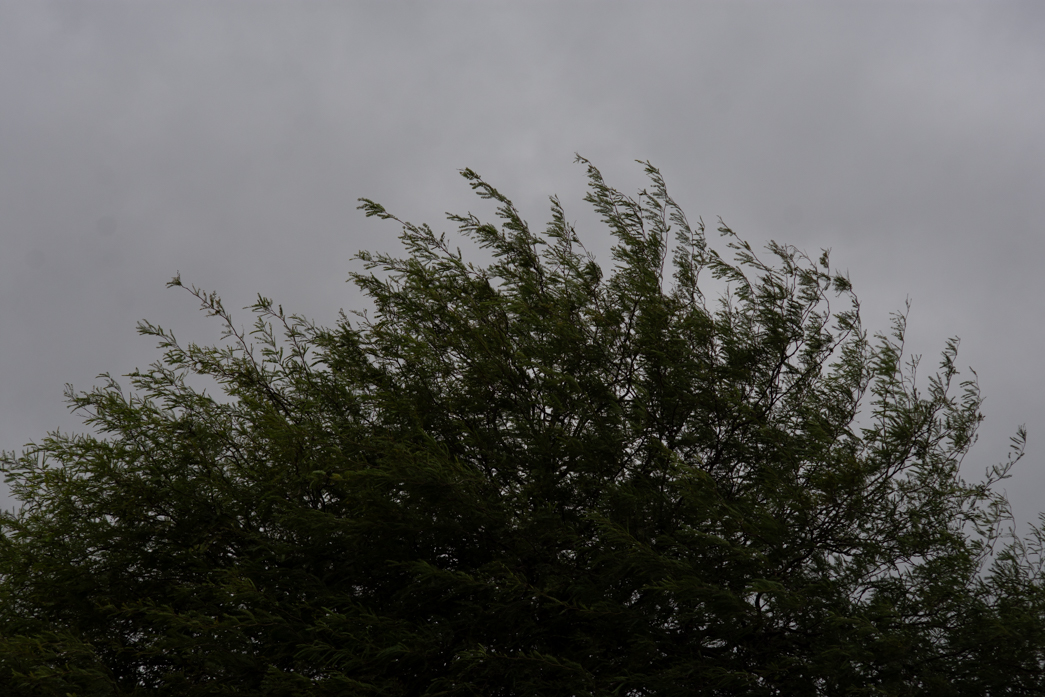 “Finde” con tormentas aisladas: Probabilidad de lluvias y ráfagas de hasta 59 km/h