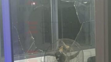 Un hombre completamente enajenado atacó a pedradas una garita de policía