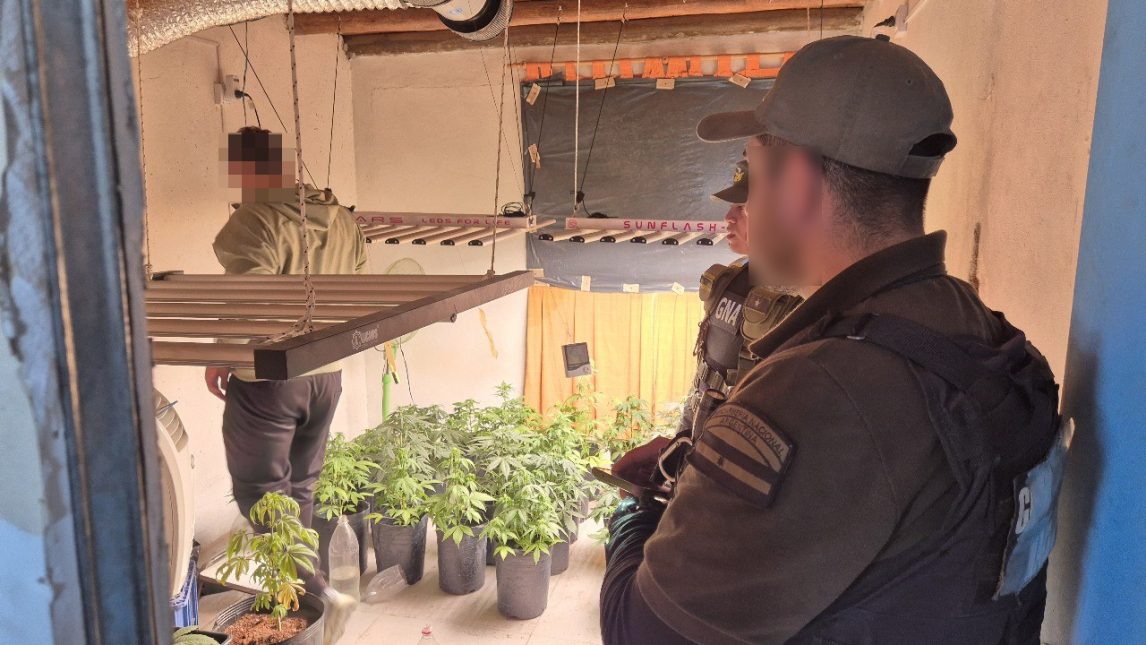 Secuestraron drogas, dinero y vehículos en operativos contra el narcotráfico