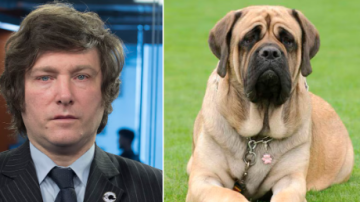 Así es la “sala Conan”, el espacio en Olivos donde Milei guarda sus tesoros